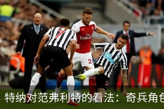 特纳对范弗利特的看法：奇兵角色能激发更大潜力